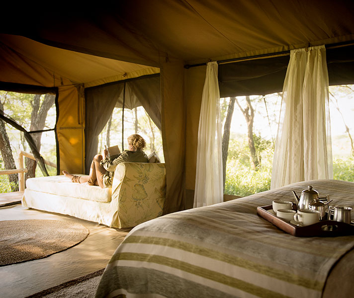 Dunia in the Serengeti - a firm favourite