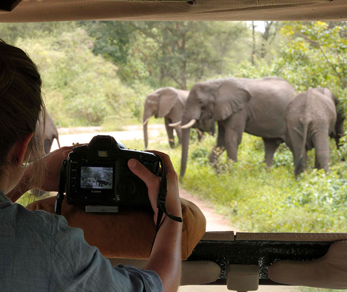 Superb game-viewing all year round