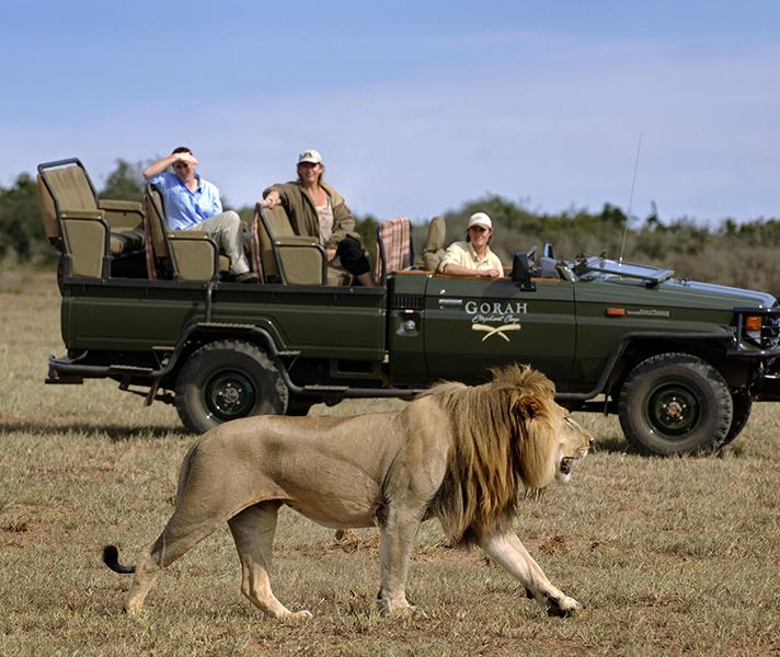 This open-sided safari vehicle ensures you see all the action.
