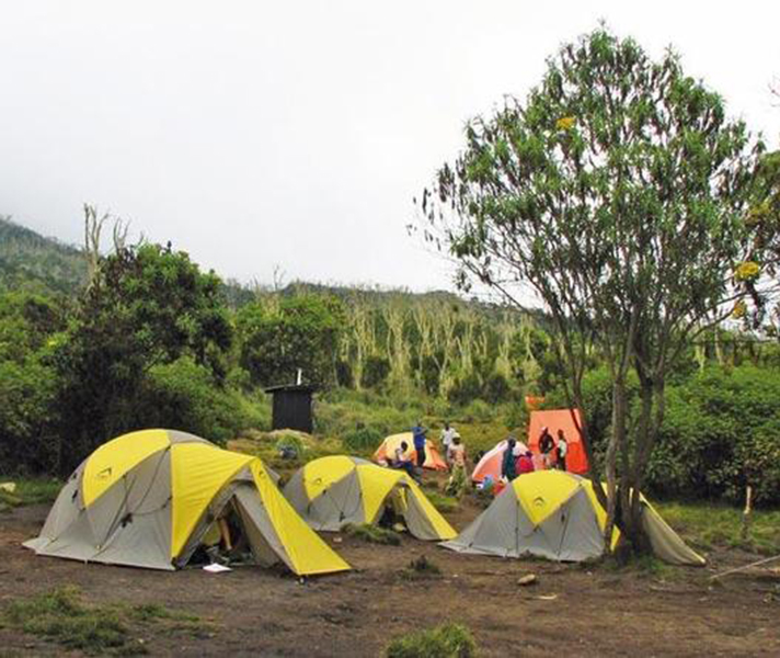 Dome tents on the Machame Route