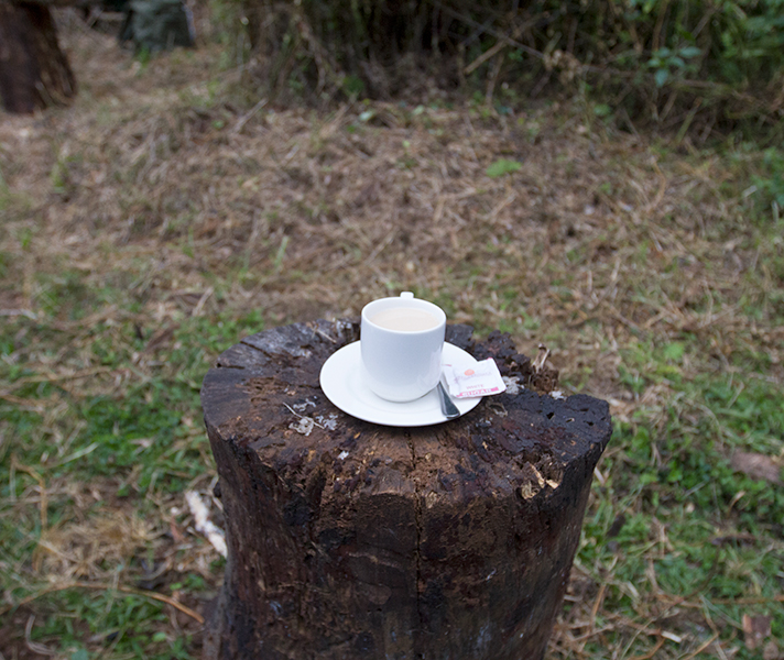 Mid-morning refreshment.
