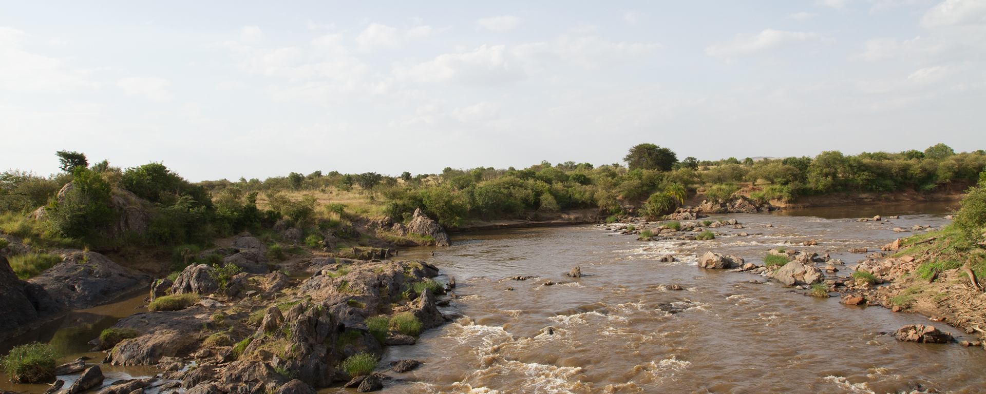 The rapidly-flowing waters of the Mara River is a burial ground for thousands of unlucky wildebeest during the Great Migration.