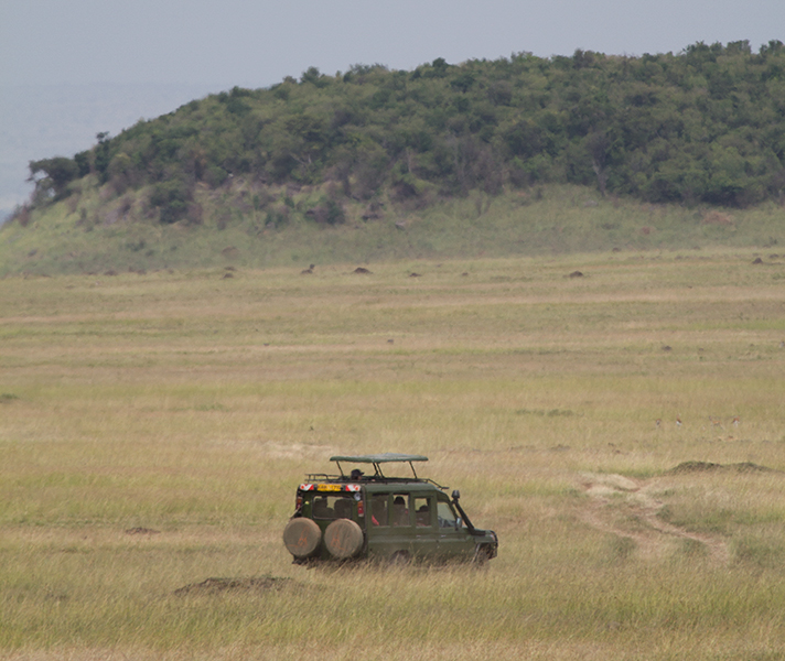 A classic sight in the Masai Mara.