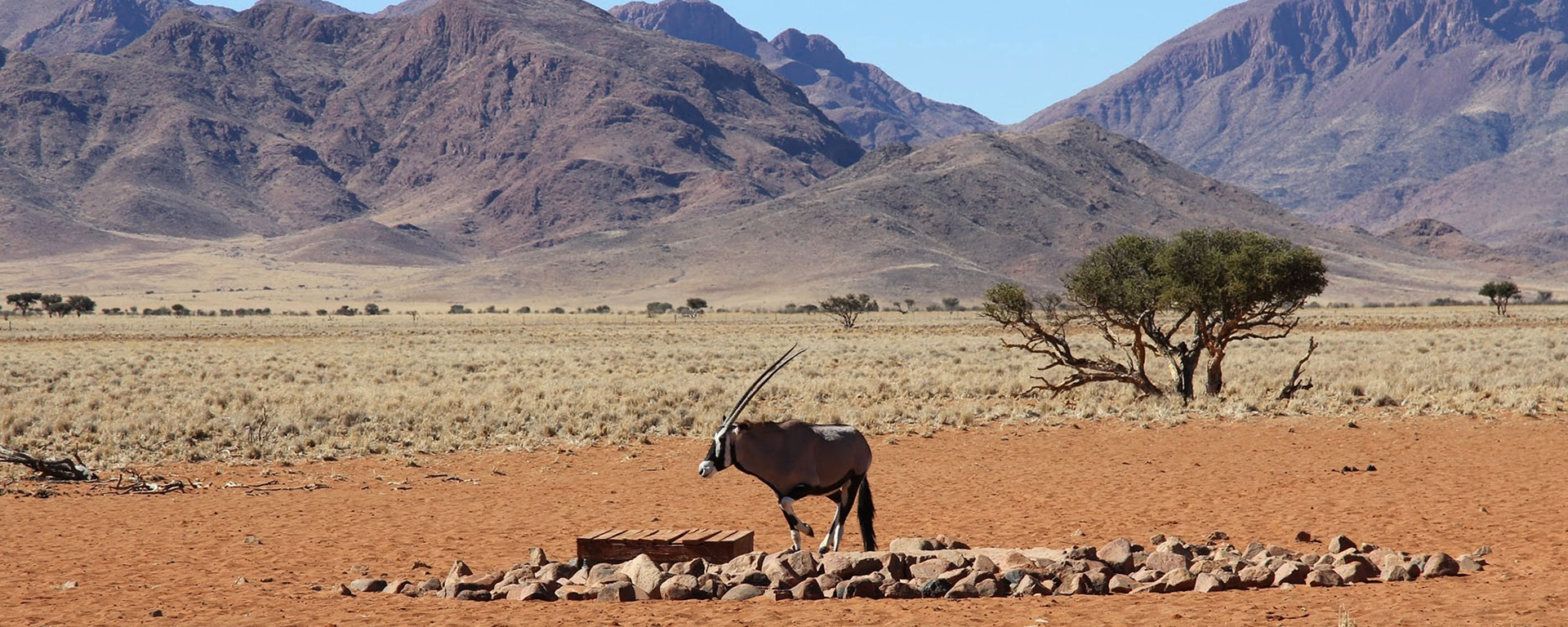 In Namibia, the sense of space and stillness permeates every horizon view.