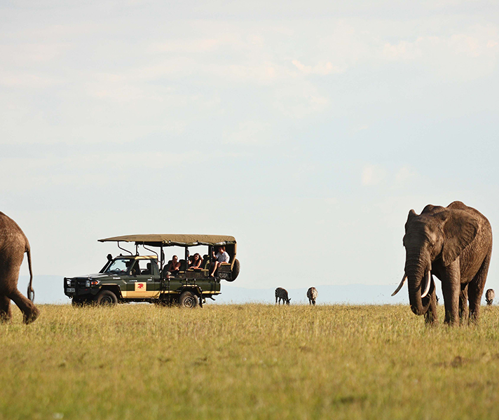 East Africa's golden savannahs are the ideal wilderness destination for adventurous parents & their adult children.