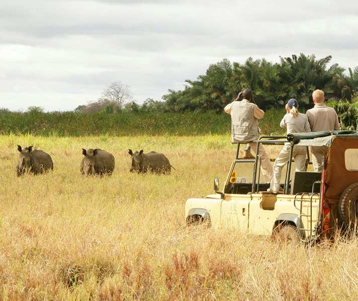 Africa is the ideal destination for multi-generational travel; there's plenty to see and experience for the whole family.