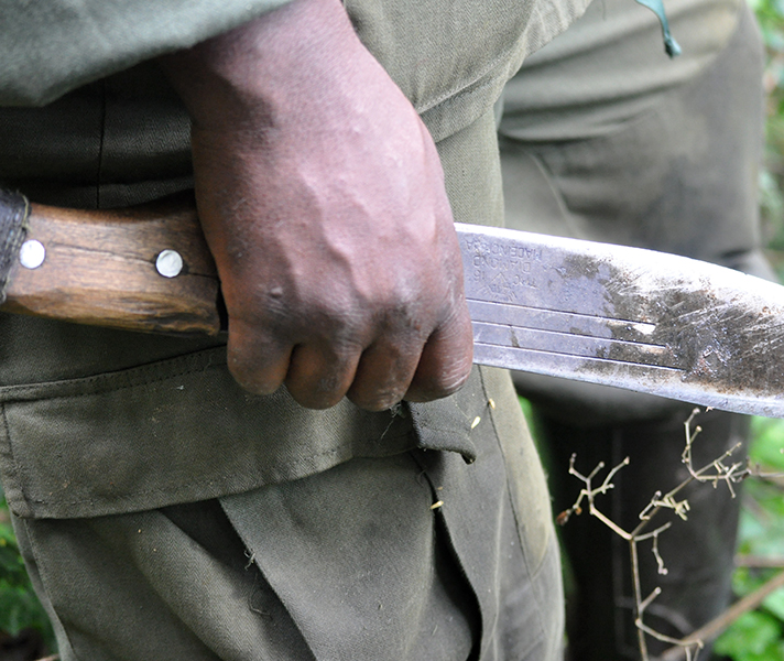 Your guides are well equipped to help you trek through the dense forests.