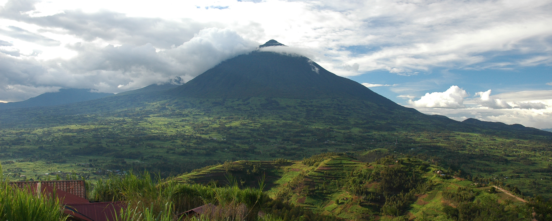 You'll enjoy spectacular views of the scenery while gorilla trekking in Rwanda's Volcanoes National Park.