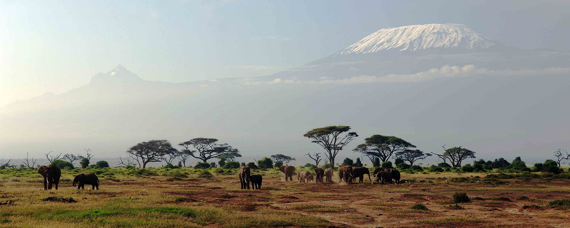 Mount Kilimanjaro stands tall & proud as it looms over Amboseli National Park in neighbouring Kenya.