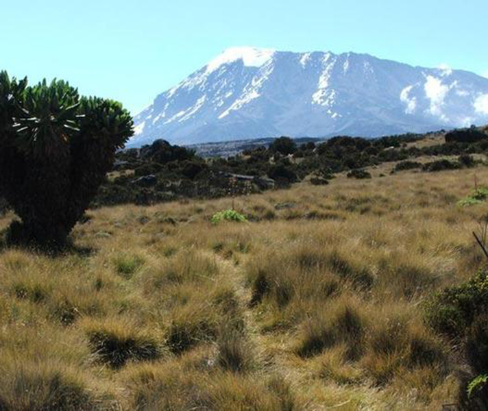 The summit is capped by a glacier.