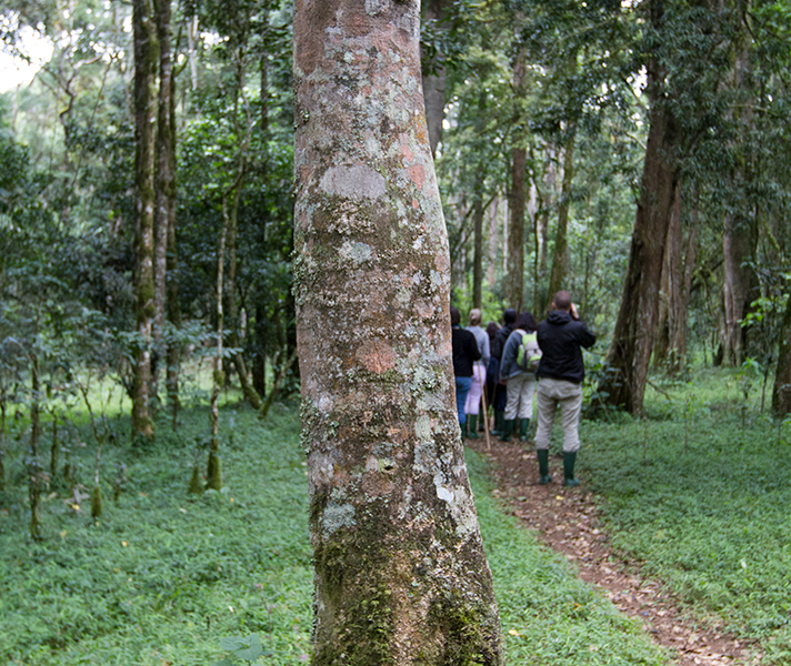 A guided walk offers the most intimate portrait of a wild place.