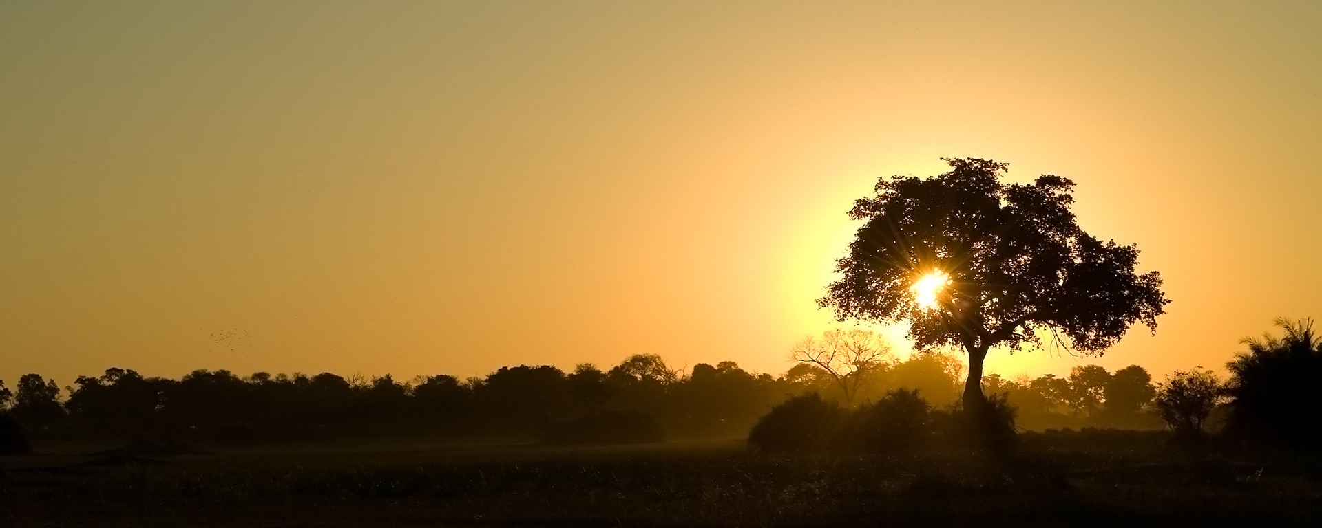 The impact of backlighting can be especially powerful, especially when playing with silhouettes.