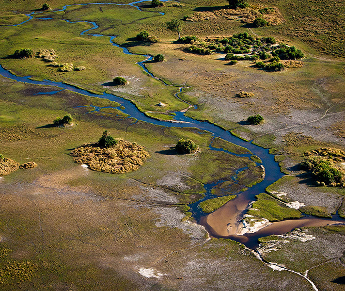 A watery wilderness from the air: The Okavango Delta.