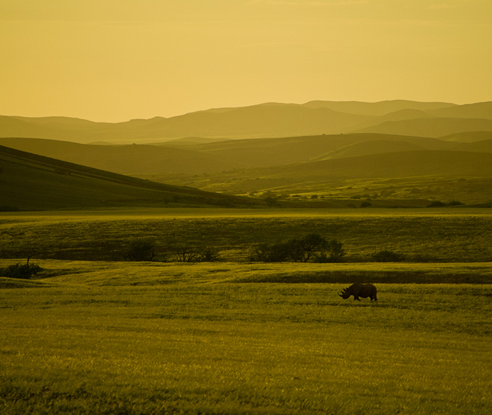 Introducing people or animals into a landscape often gives a sense of scale to the shot.