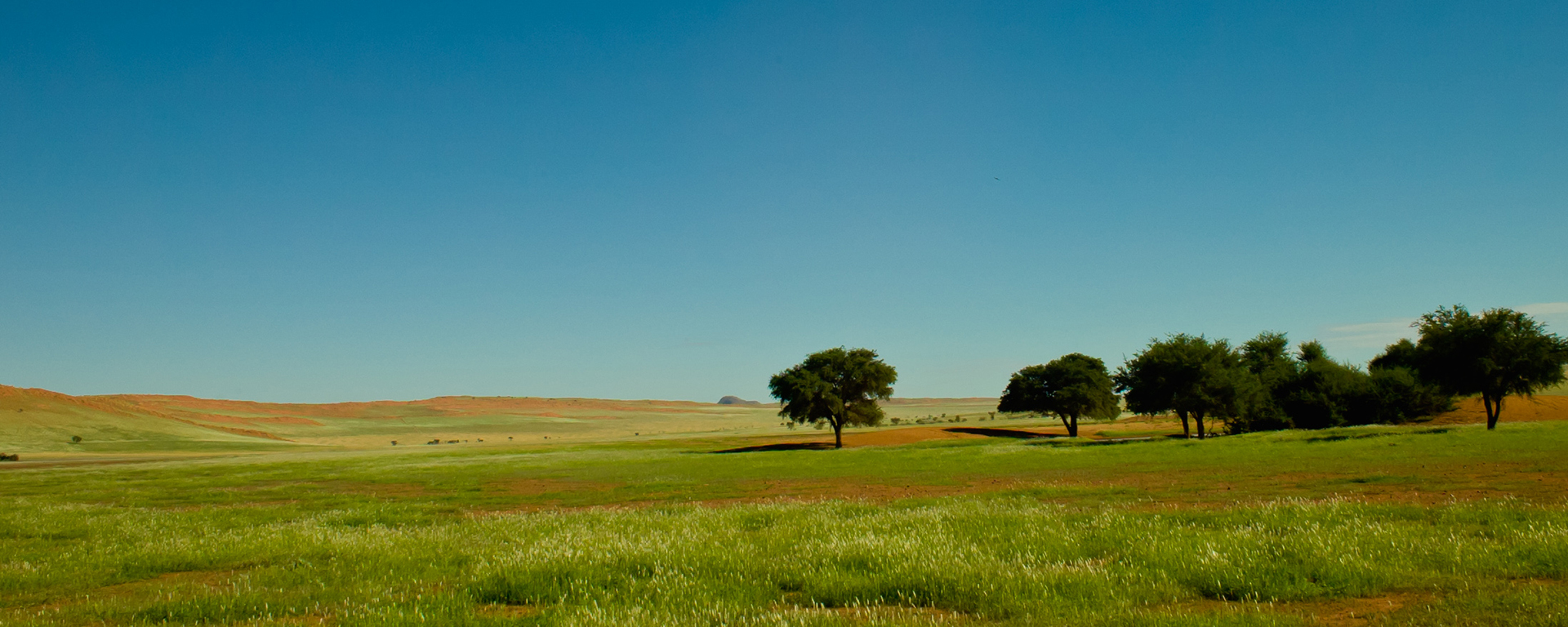 The rule of thirds: very important in making a good landscape image, as the picture is more aesthetically pleasing.