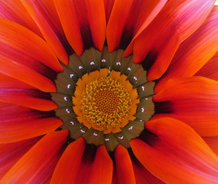 The floral beauty is truly outstanding - worth a photo or three!