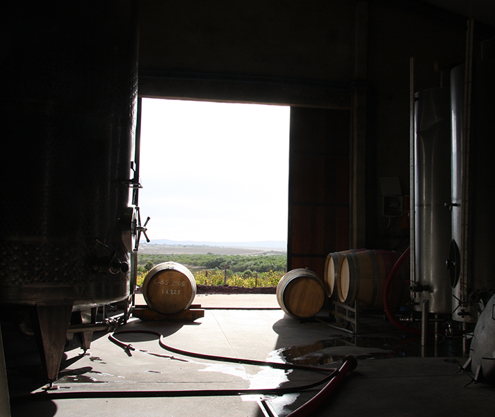 Discover hidden wine cellars & vineyards on your drive.