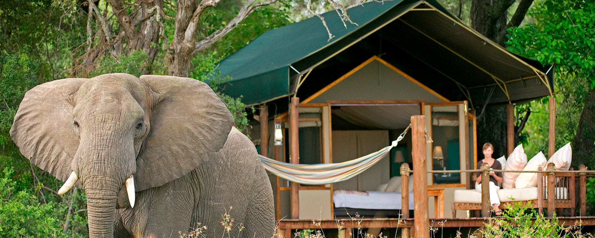 Many lodges are unfenced allowing wildlife easy access, which is thrilling if you're prepared and sensible about these encounters.