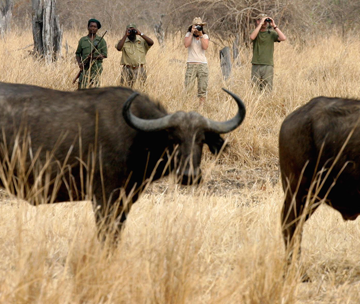 Respect that the creatures you encounter are entirely wild.