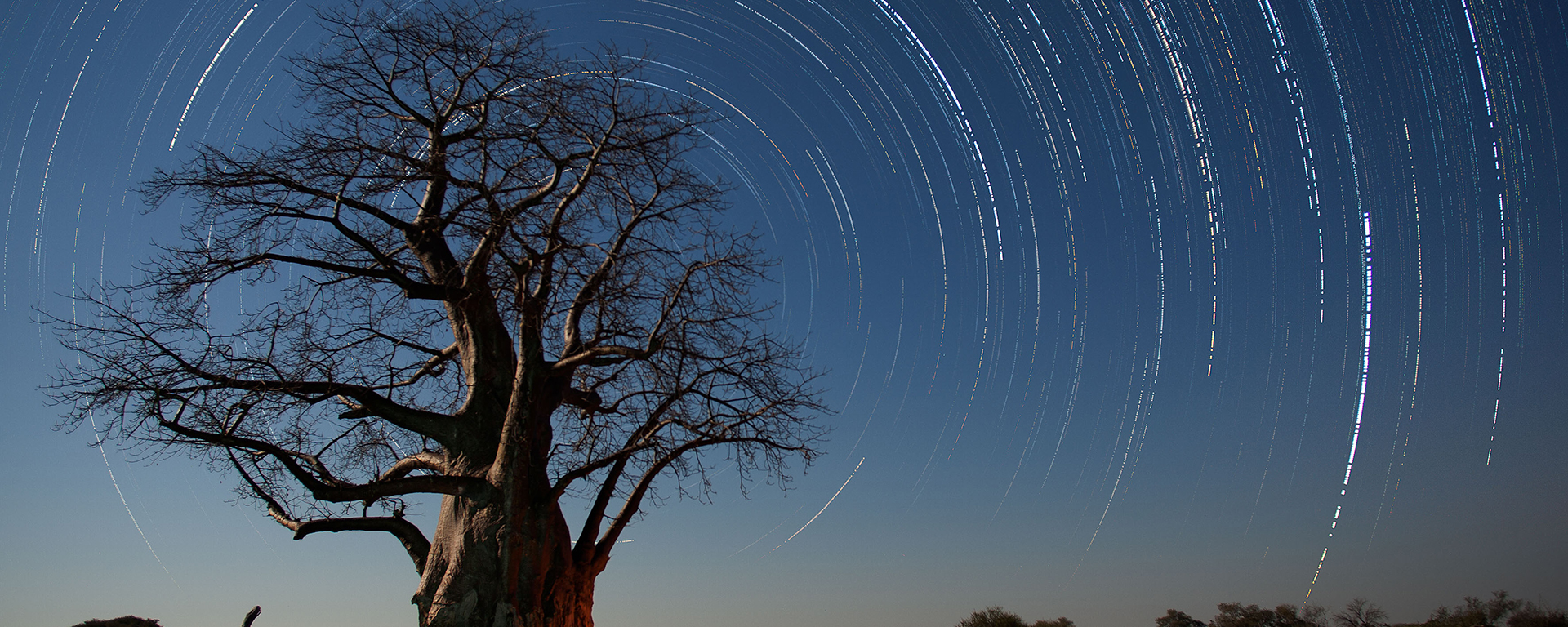 Shooting star trails requires careful planning but the results can be stunning.