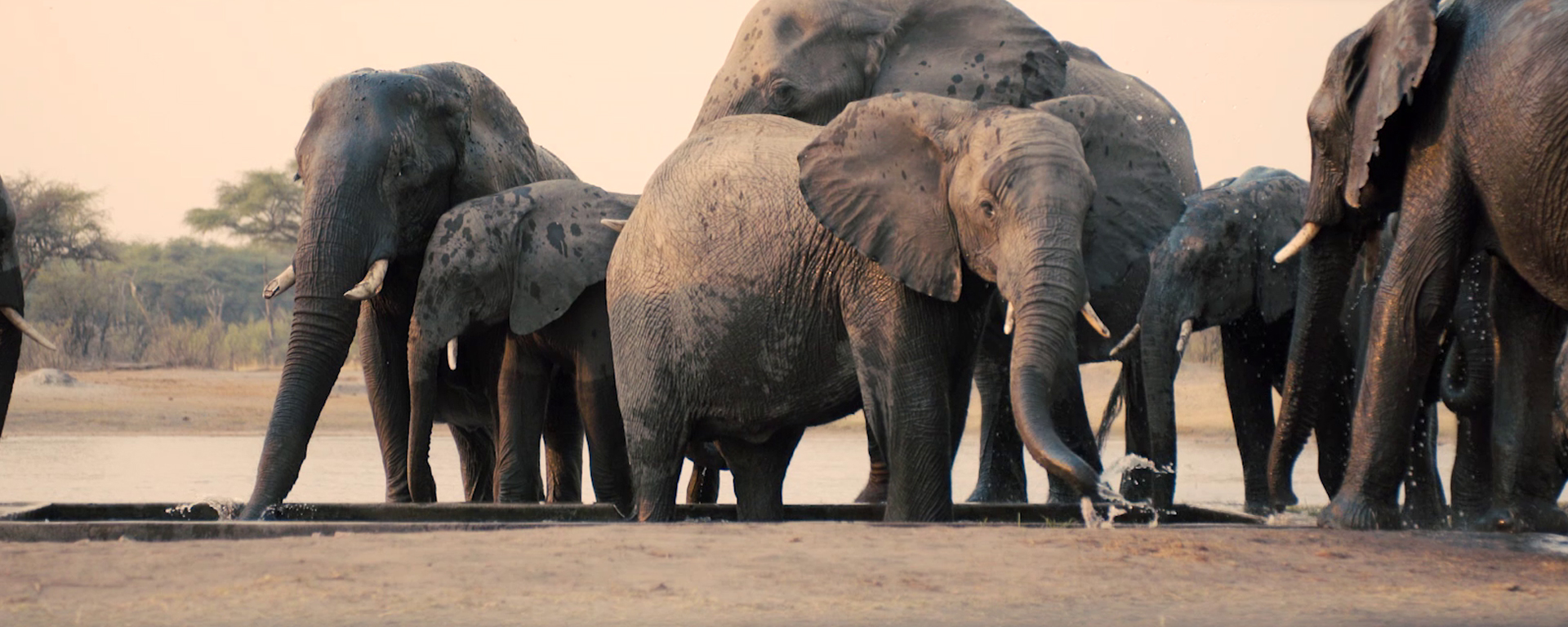 The Hide in Hwange offers a superb, up-close observation point.