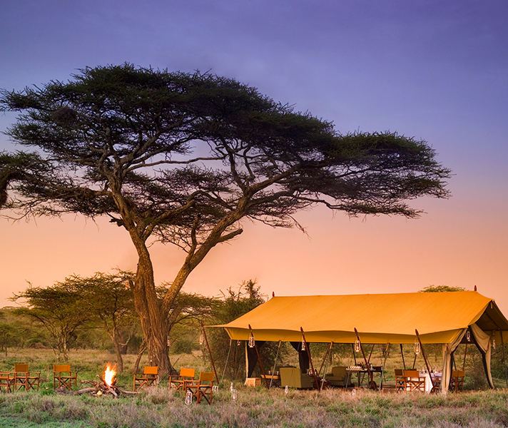 Expect first-class fare on a luxury mobile safari stopping at camps like Serengeti Under Canvas in Tanzania.