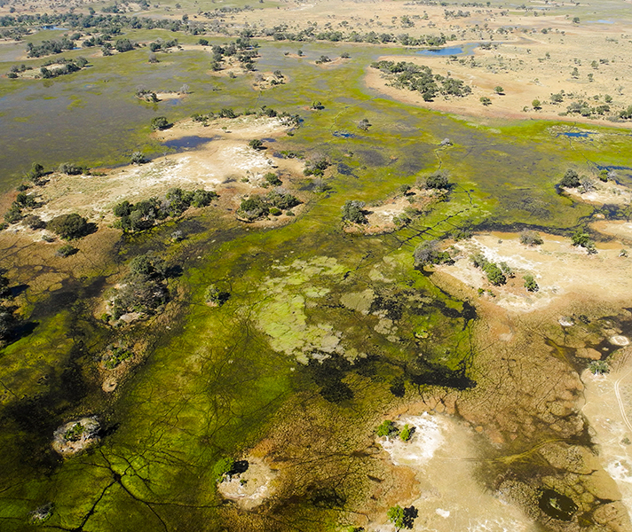 Charter flights take you from camp to camp in the heart of the Delta.