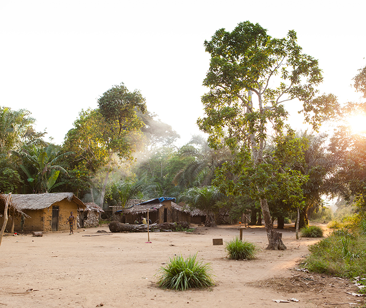 A typical Congolese roadside village.