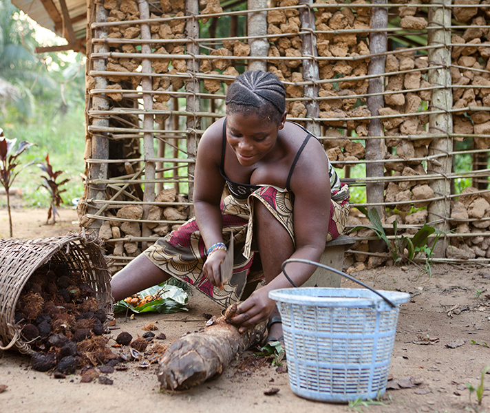 Many Congolese villagers still rely heavily on the rainforest for food.