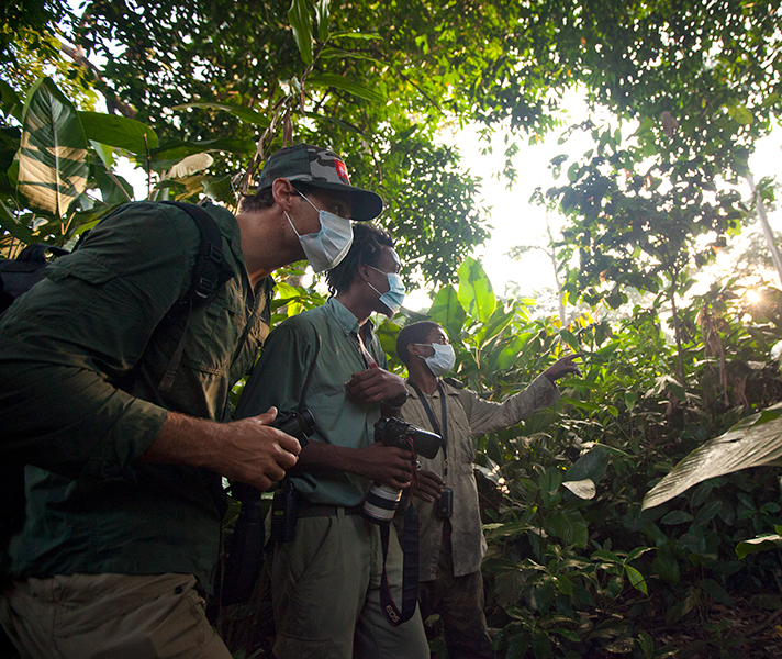 It's compulsory to undertake very simple precautions - such as keeping your distance & wearing masks - to protect gorilla families from disease.