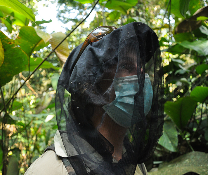 A fine mesh keeps harmless sweat bees away & the 22ft distance from the gorillas makes long lenses a must.