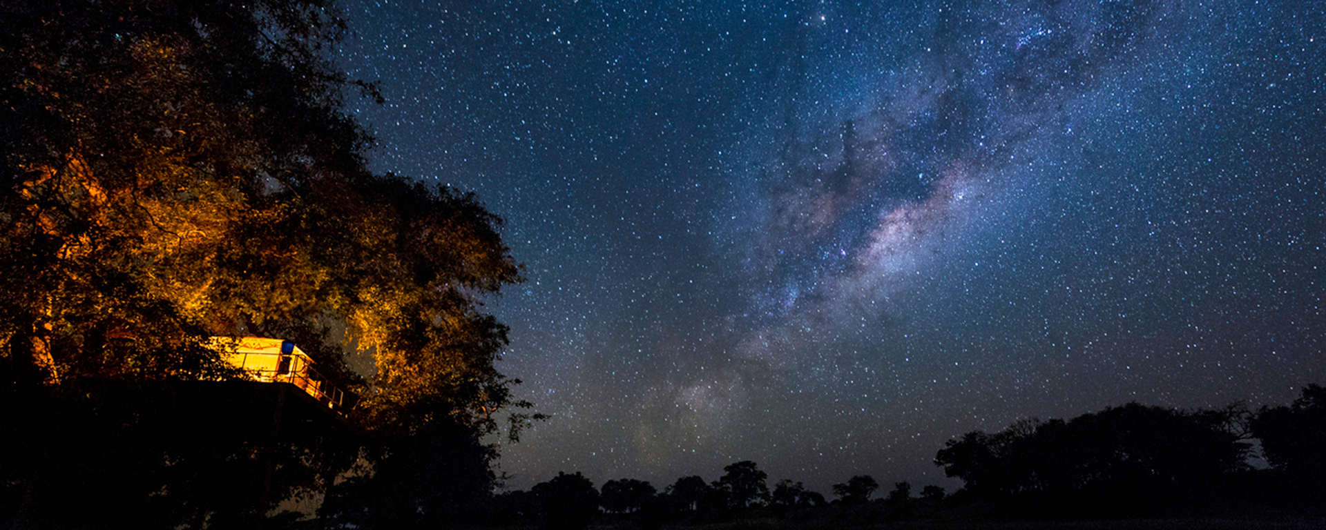 Stare in wonder at the Milky Way from your room at Ruckomechi.