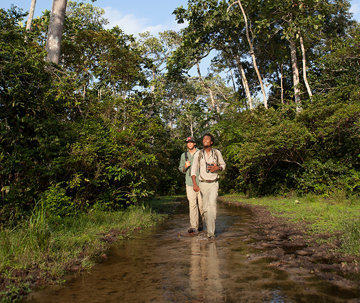 Lango Camp is surrounded by a variety of terrains, all waiting to be explored.