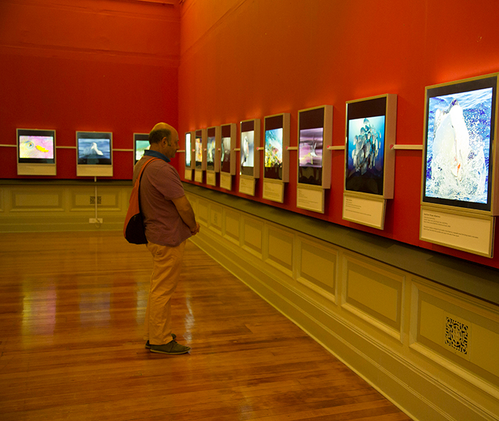 The South African Museum is full of natural treasures & hosts the World Wildlife Photographer exhibit every year.