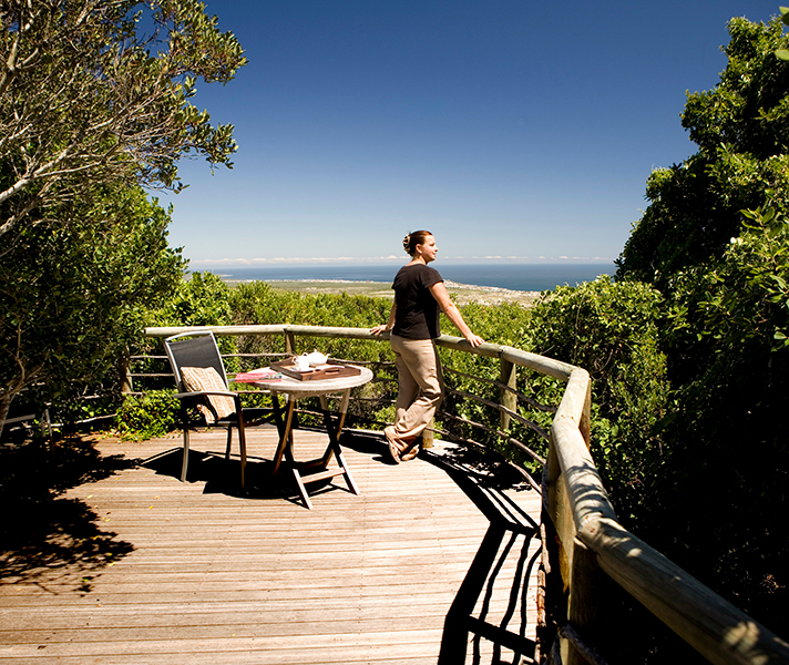 Grootbos is an eco escape nestled in an indigenous milkwood forest - one of the last remaining in the southern Cape.