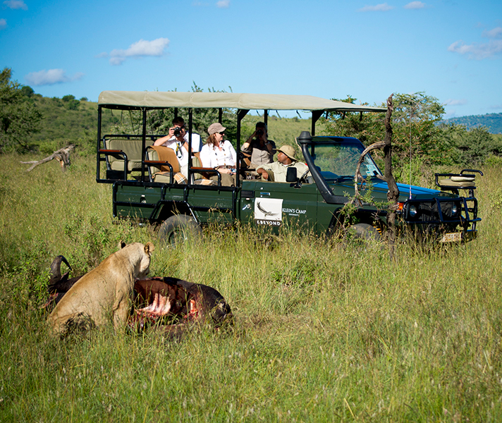 Botswana's Green Season offers great value safari experiences complete with virtually crowd-free game-viewing.