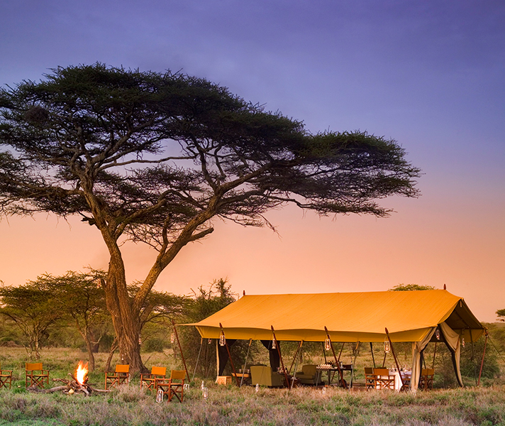 Serengeti Under Canvas is a mobile camp that follows the migration.