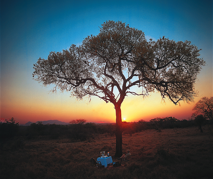 Royal Malewane & Nyati House offer superb safari experiences.