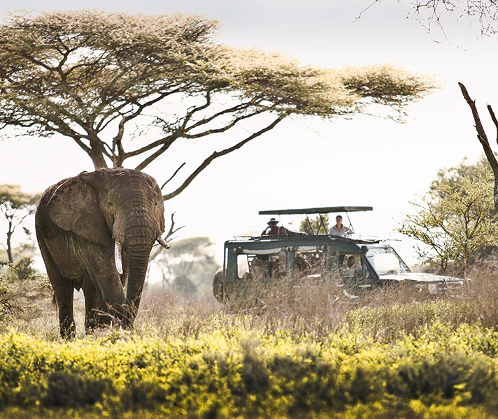 Serengeti Under Canvas offers spectacular game viewing in Tanzania & romantic tented accommodation.