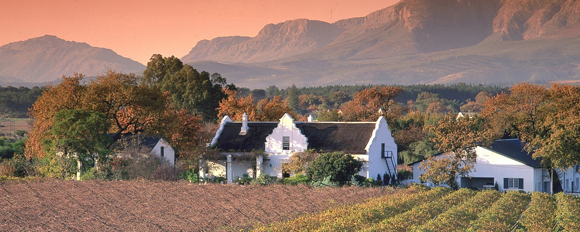 The Cape Winelands has charming boutique hotels amid glorious scenery of peaks & valleys.