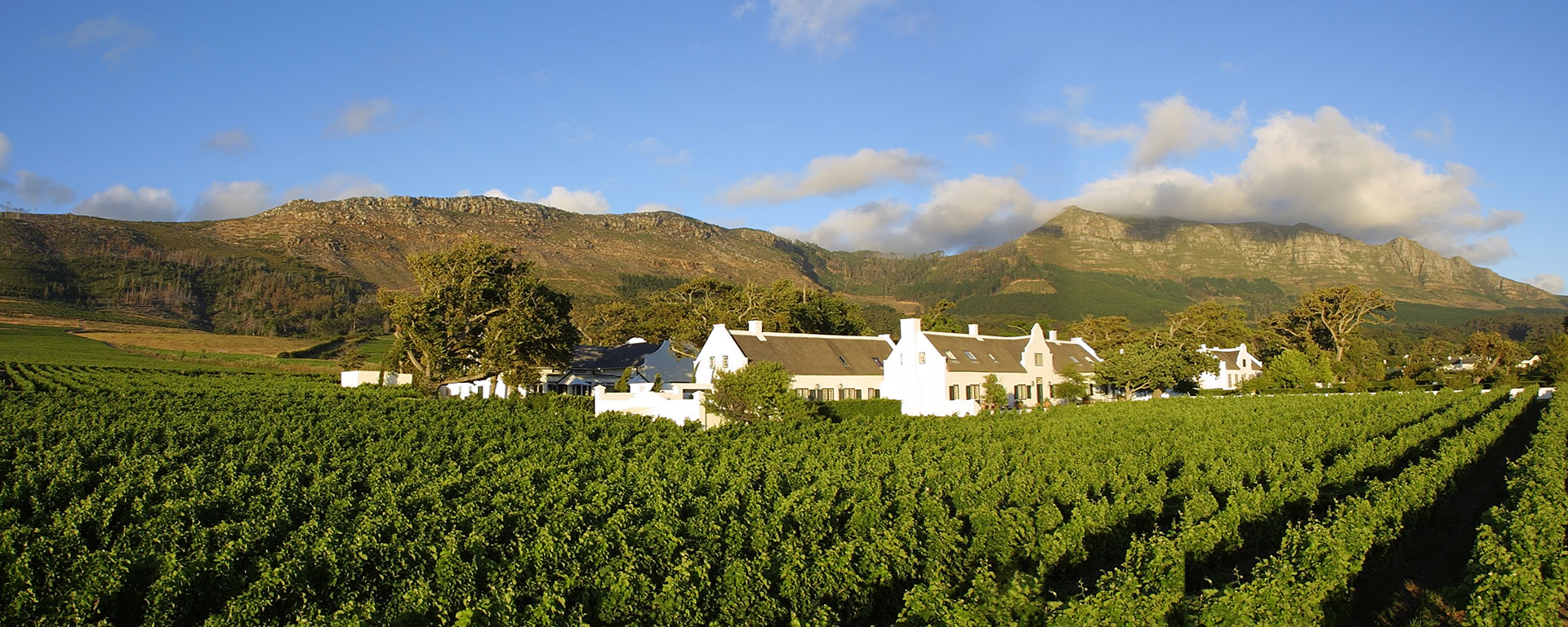 The Constantia Winelands are Cape Town's oldest and are home to some of the world's best vintages.
