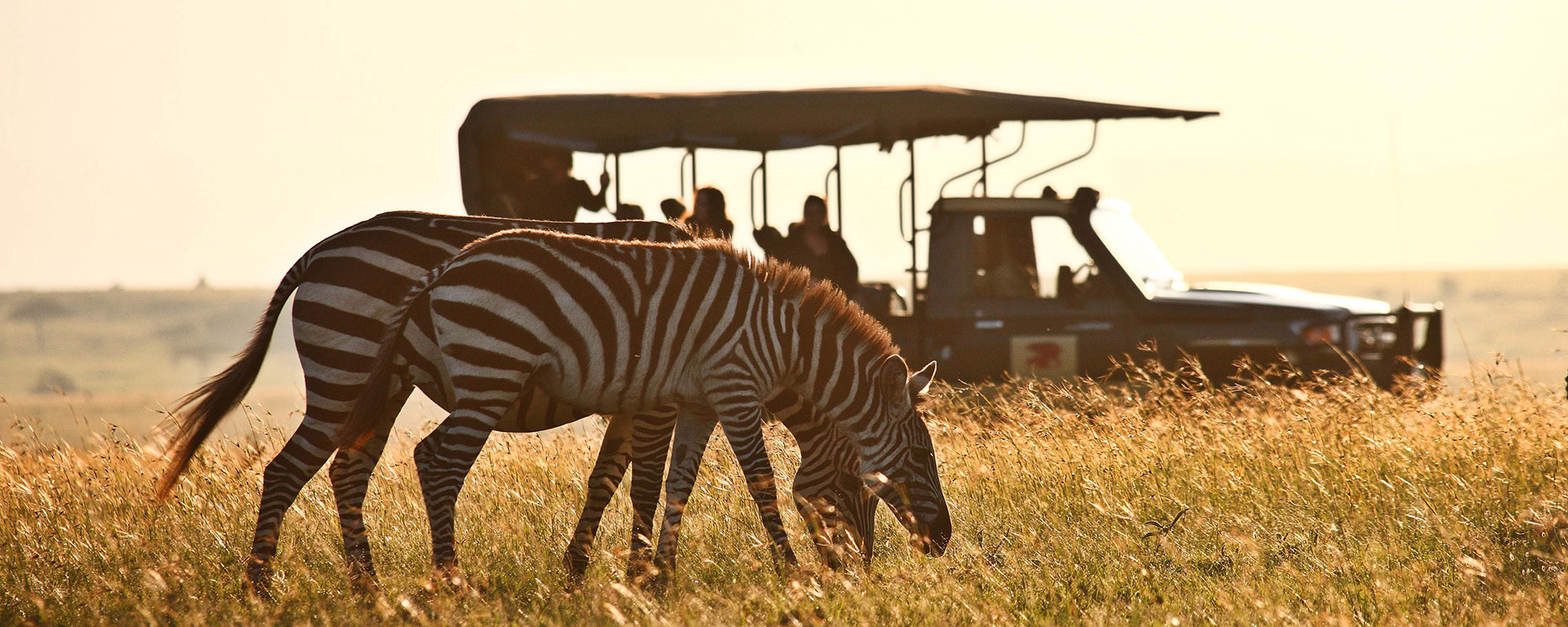 The Samburu National Reserve in Kenya is known for its endemic species like Grevy's zebra.