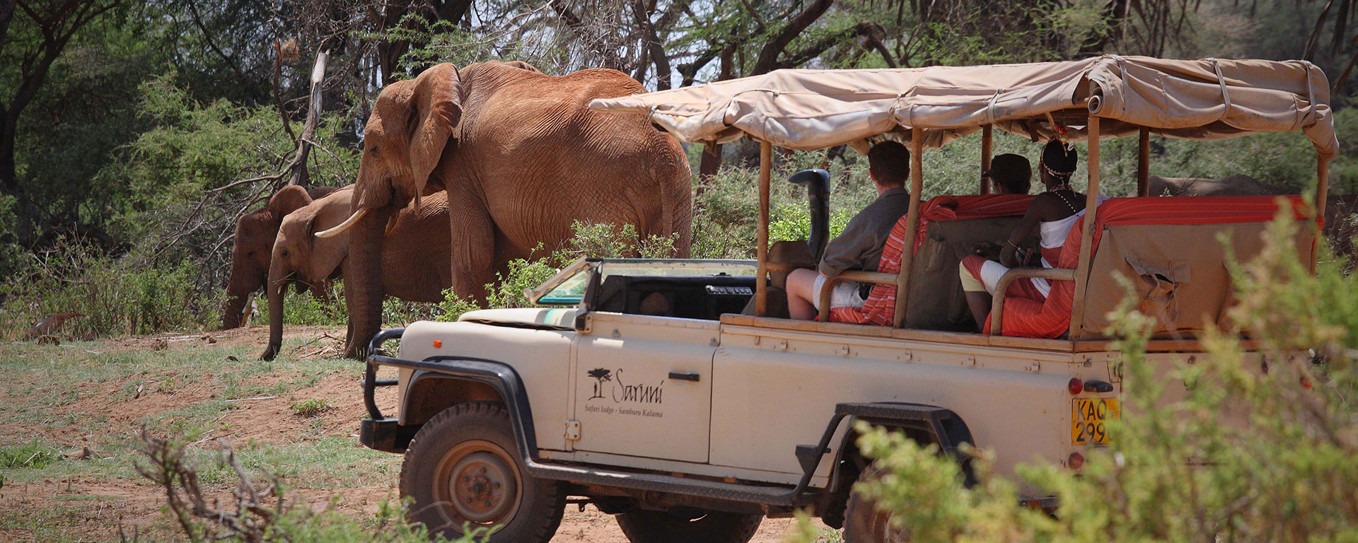 The Samburu offers an action-packed game viewing experience and serves well as an alternative to the Masai Mara.