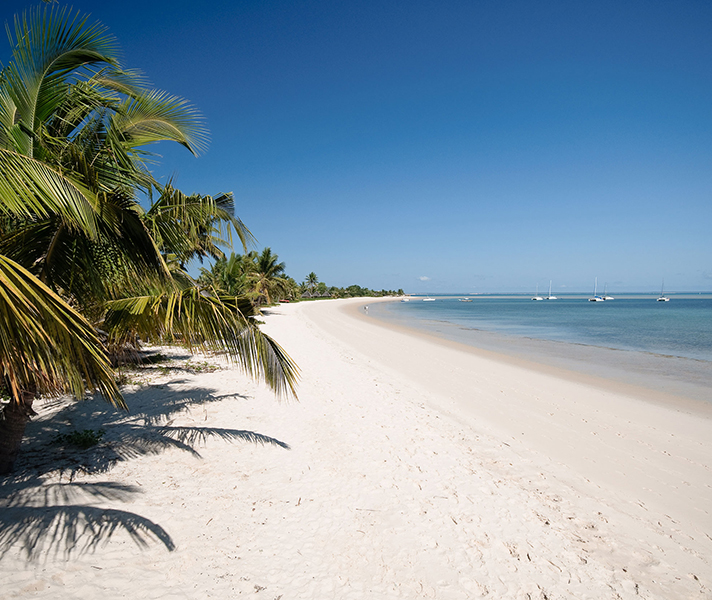 Look up 'postcard paradise' in dictionary & you'll find a picture of Benguerra Island in Mozambique's Bazaruto Archipelago.