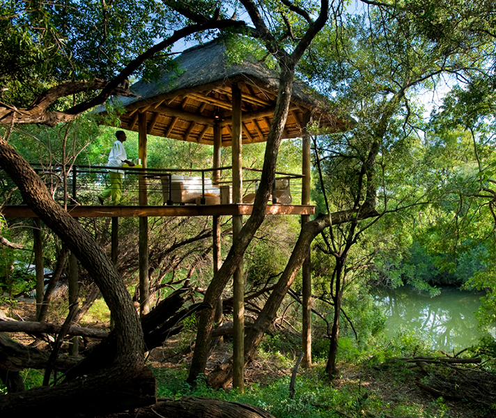 Enjoy afternoon tea in the treetops at Morukuru Owner's House.