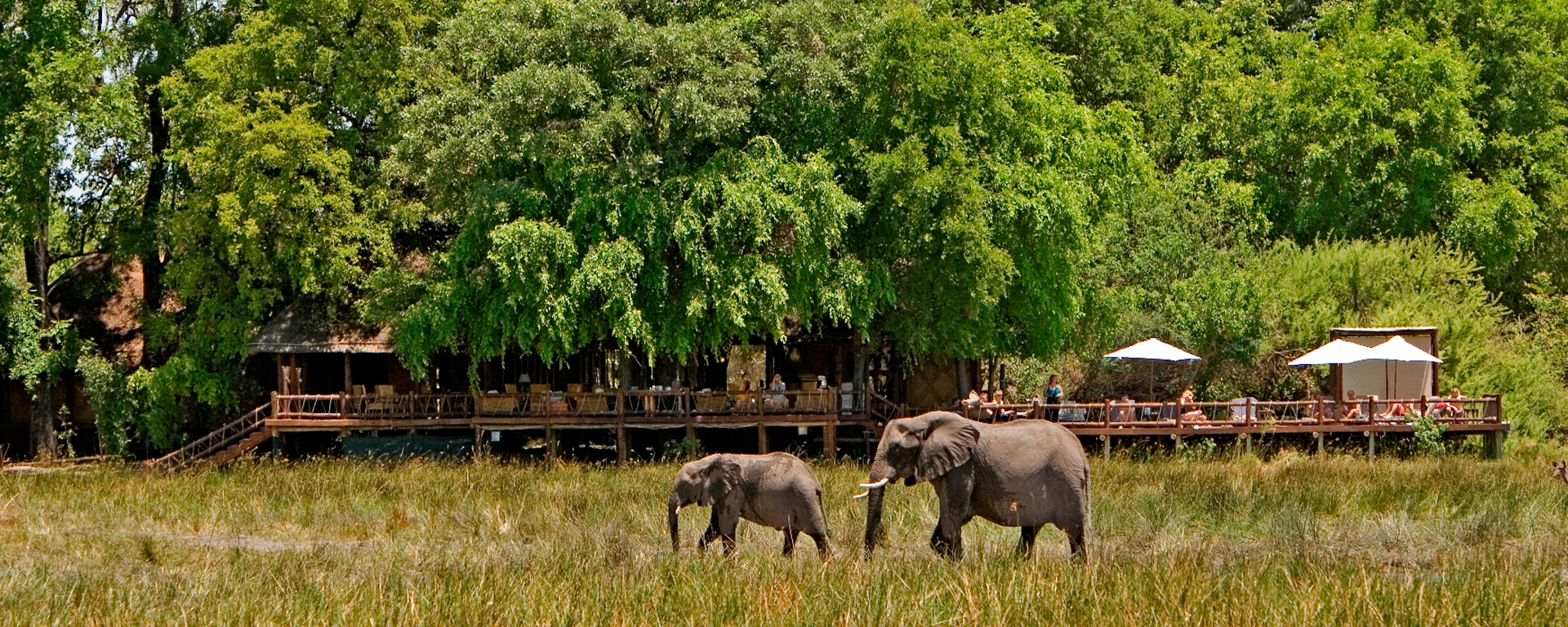 Chief's Camp is located on the largest island in the Okavango Delta.