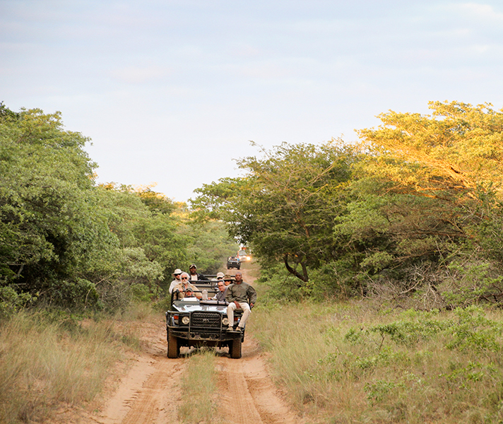 Setting off at dawn: legendary wildlife documentary makers Dereck & Beverly Joubert are in the first 4x4.