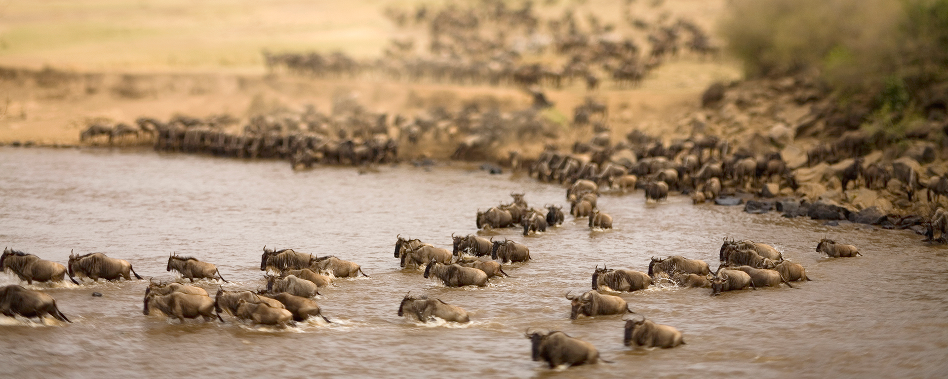 Africa's most famous natural spectacle is the Great Migration river crossings - book a year in advance for the best lodges.