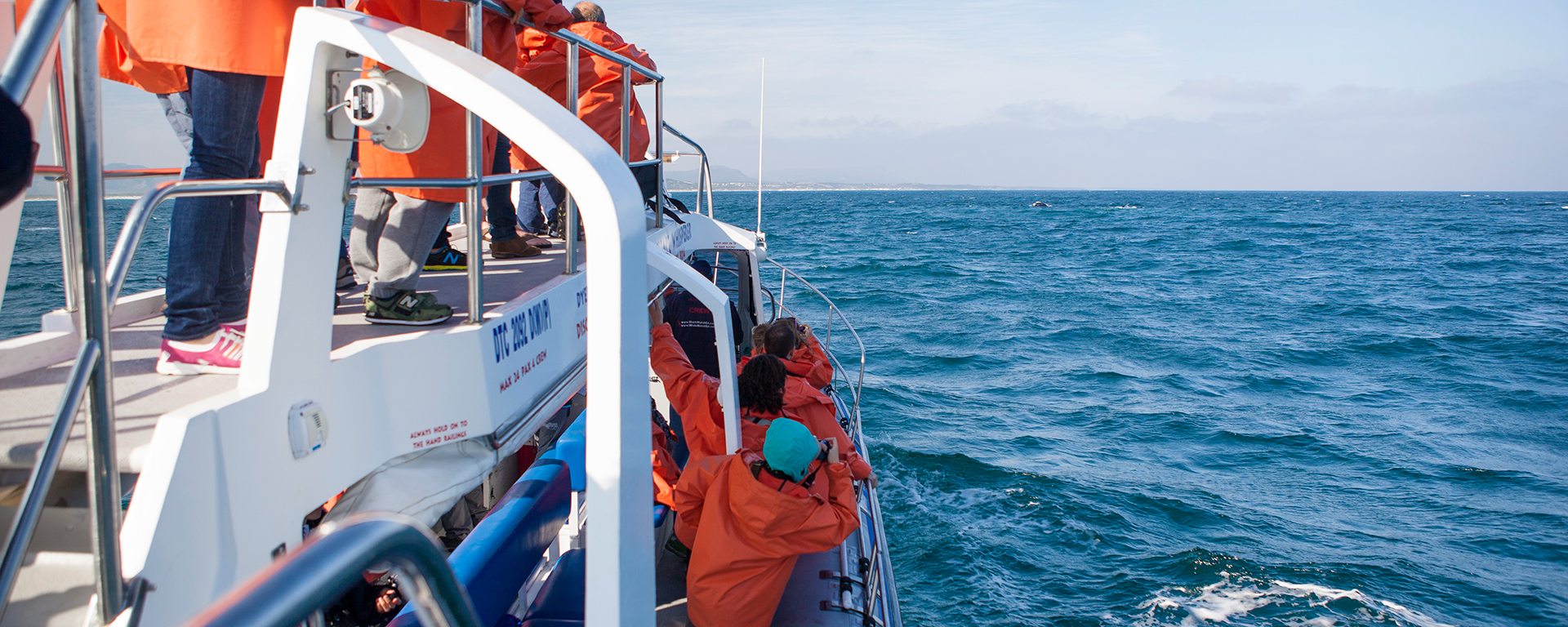 Whale-watching boats are sturdy with an upper viewing deck and lower seating. area.