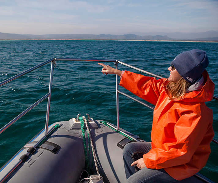 Even on a sunny day, beanies & waterproof jackets are key to a comfortable boat trip.